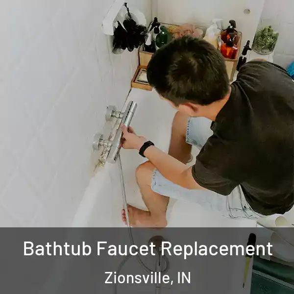  Bathtub Faucet Replacement Zionsville, IN