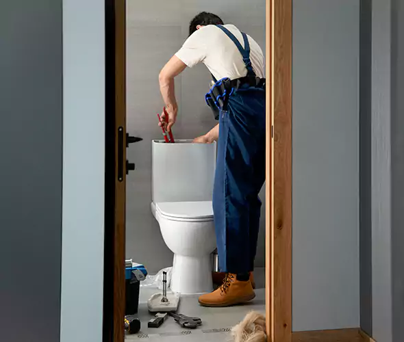 Professional Plumbers for Toilet Bowl Replacement in Zionsville, IN: Schedule Affordable Toilet Replacement Services With Us
