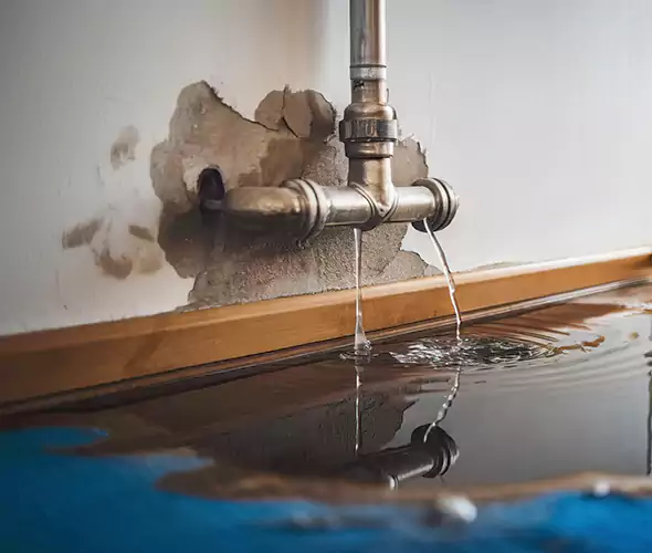 Professional Water Damage Restoration Experts in Zionsville, IN — Fast, Reliable & Certified