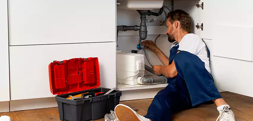 Reliable Garbage Disposal Replacement Services in Zionsville, IN