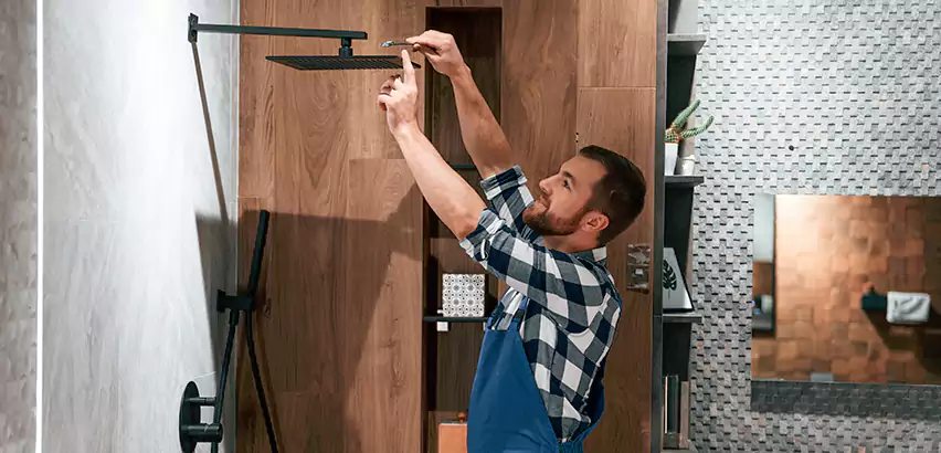 Shower Valve Replacement in Zionsville