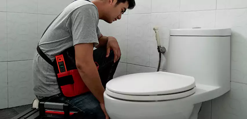 Toilet Repair in Zionsville
