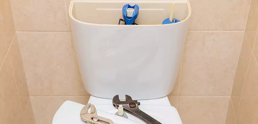 Upflush Toilet Installation in Zionsville