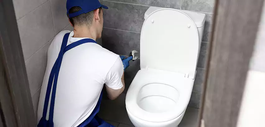 Toilet Lid Replacement in Zionsville