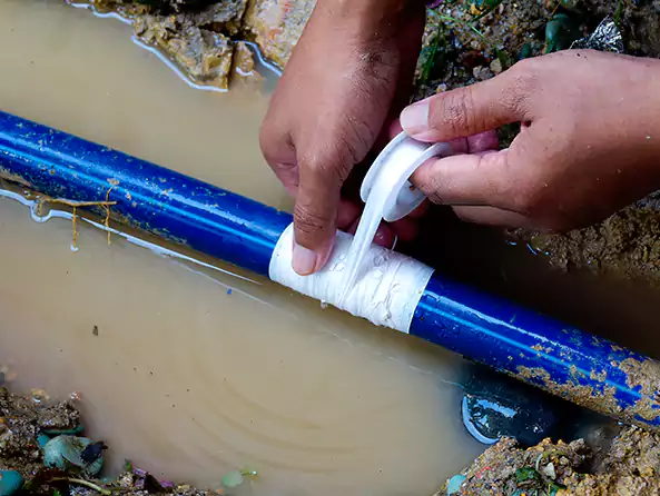  Why Choose Mr. Plumber Zionsville for Leak Detection in Zionsville, IN?]