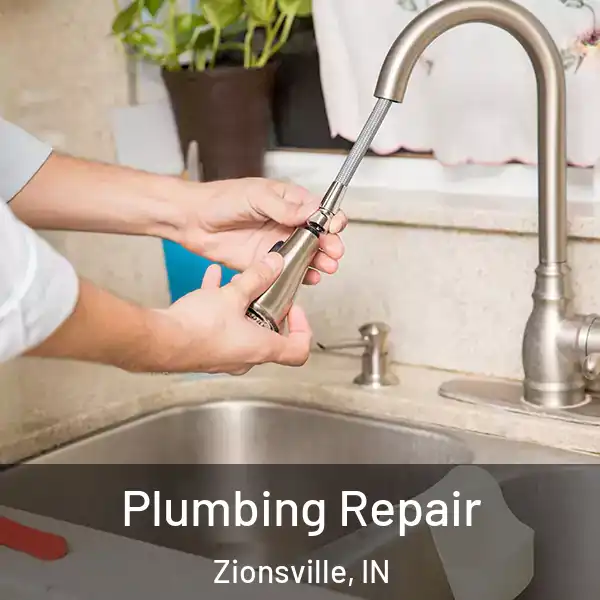  Plumbing Repair Zionsville, IN