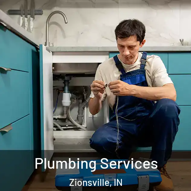  Plumbing Services Zionsville, IN