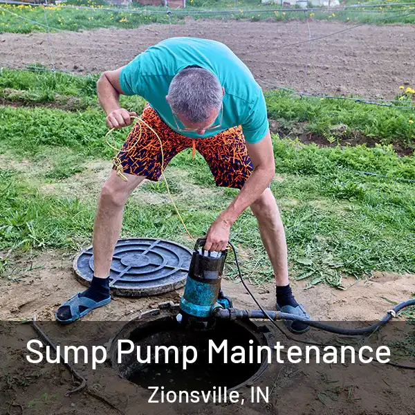 Sump Pump Maintenance Zionsville, IN