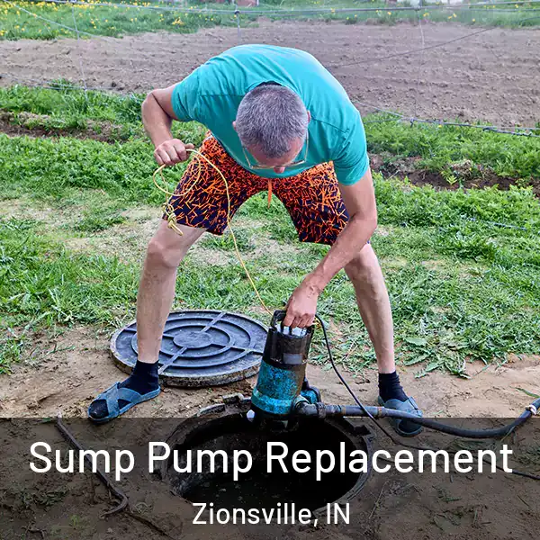  Sump Pump Replacement Zionsville, IN