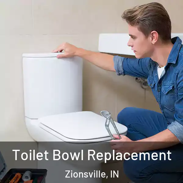  Toilet Bowl Replacement Zionsville, IN