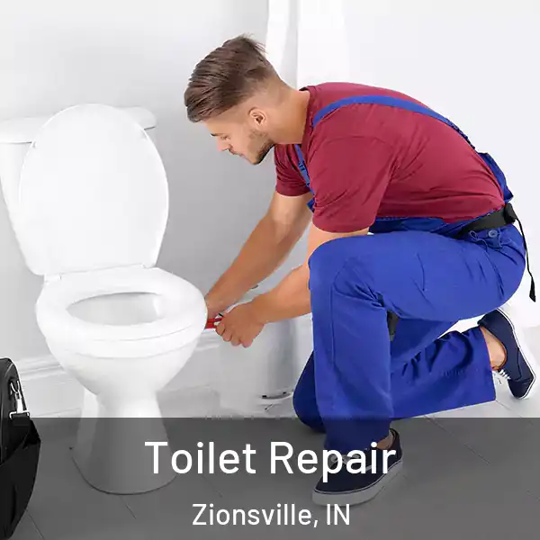  Toilet Repair Zionsville, IN