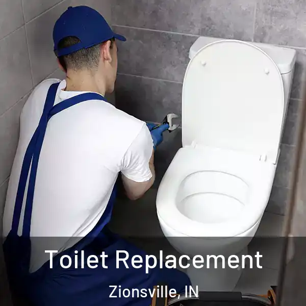  Toilet Replacement Zionsville, IN