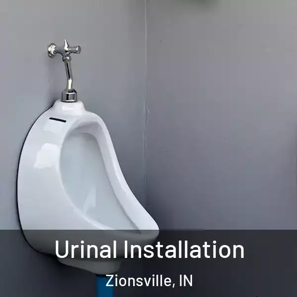  Urinal Installation Zionsville, IN