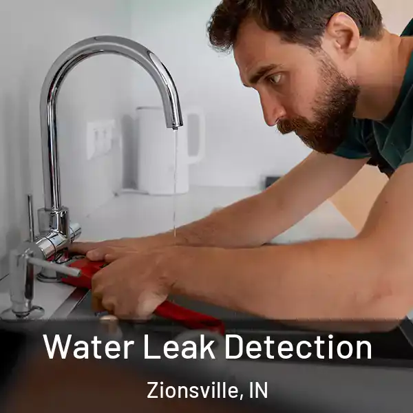  Water Leak Detection Zionsville, IN
